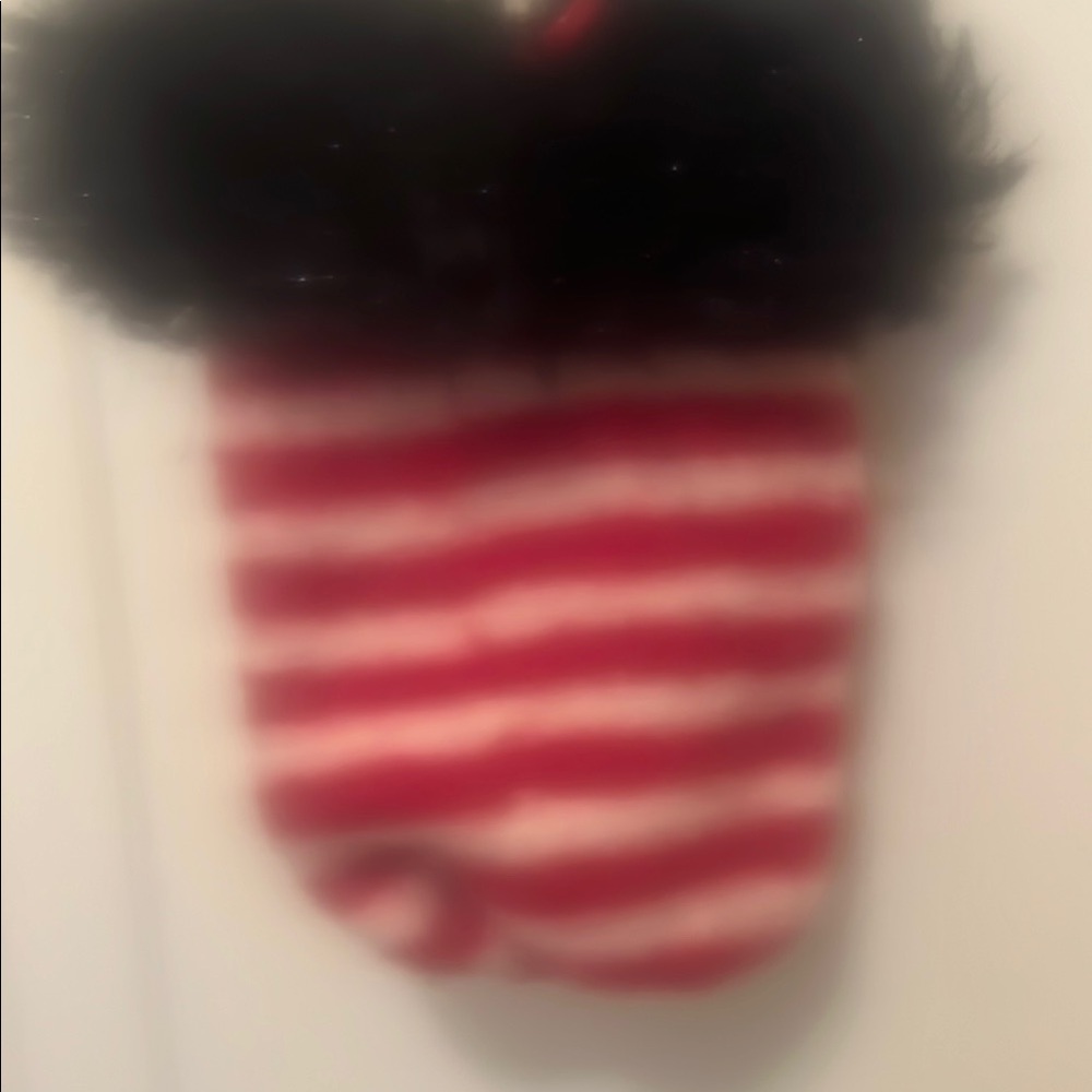 Red and White Striped Crossbody Bag with Soft Fabric Texture.  Cat in the Hat